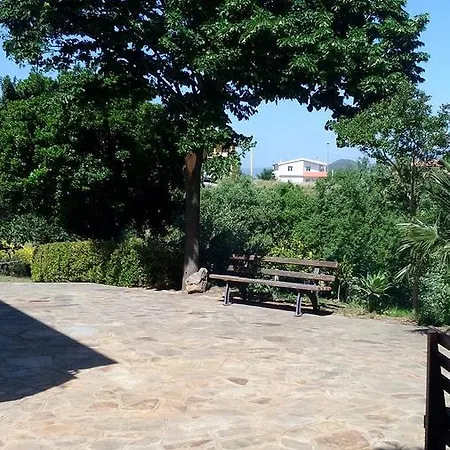 Sardegna فيلة *